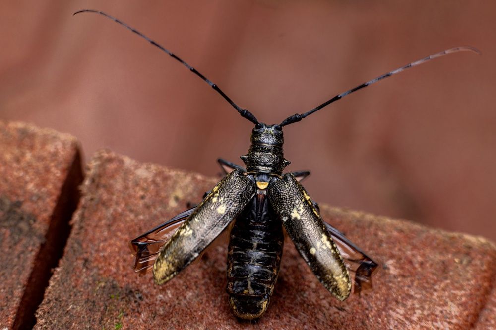 Photograph by Сильва Татьяна