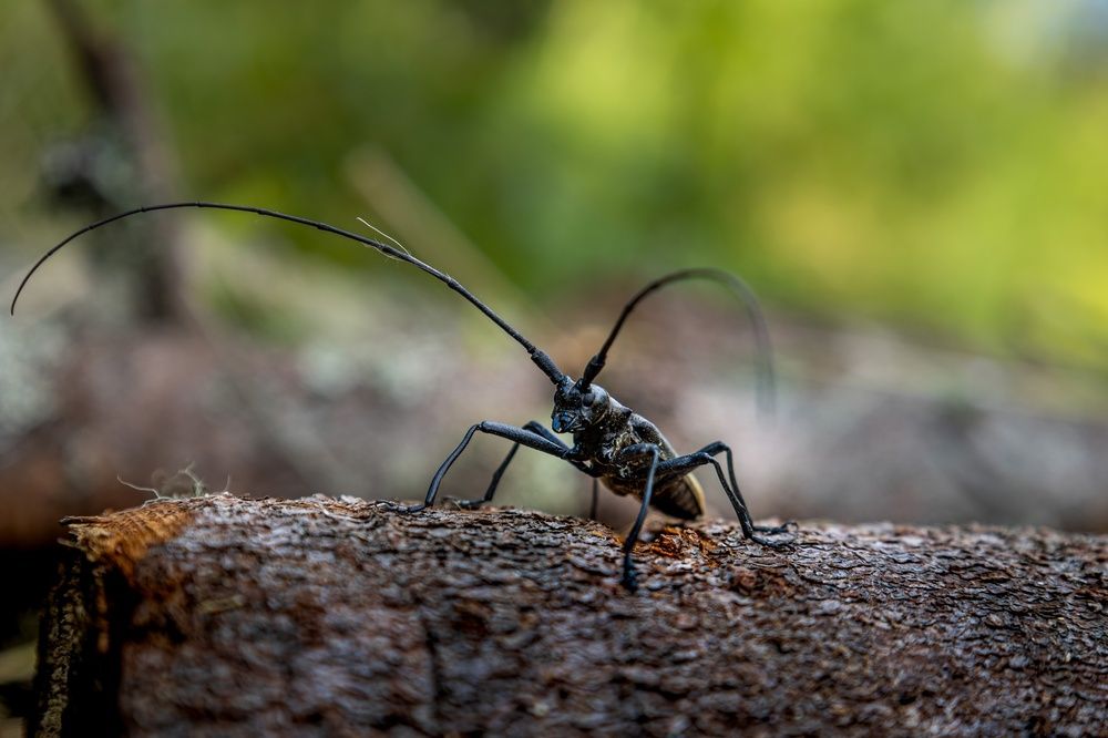 Photograph by Сильва Татьяна