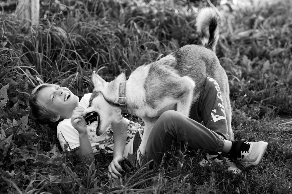 Photograph by Юлия Честнова