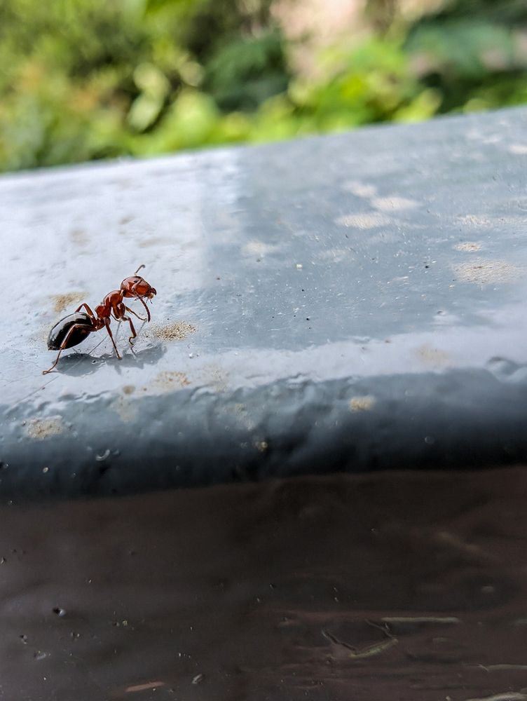 Фотография автора Владимир Хакимов