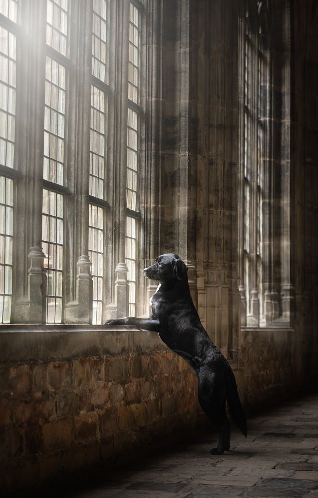 Photograph by Shanna van Mens