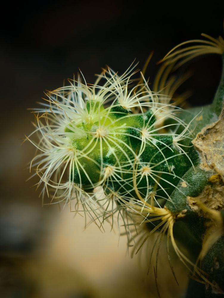 Photograph by Сергей Степаненко