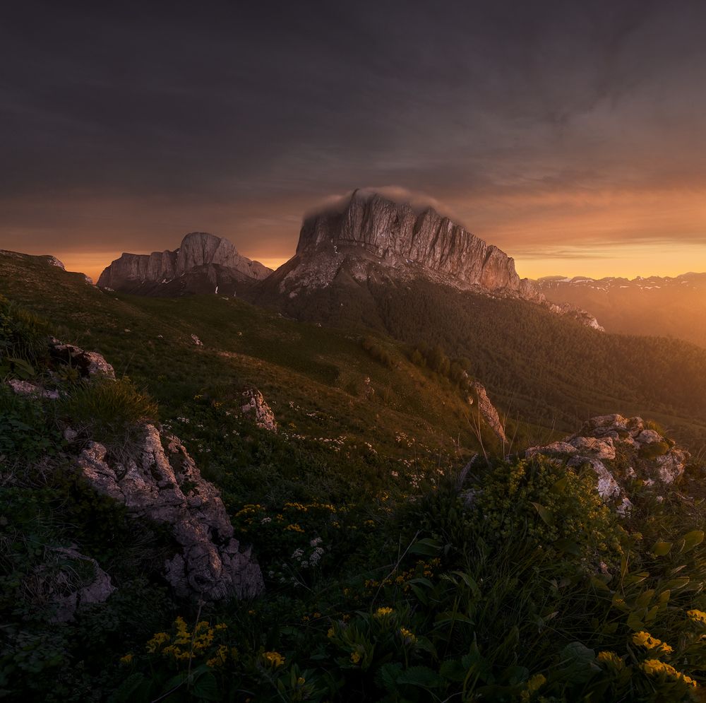 Photograph by Александр Дударев