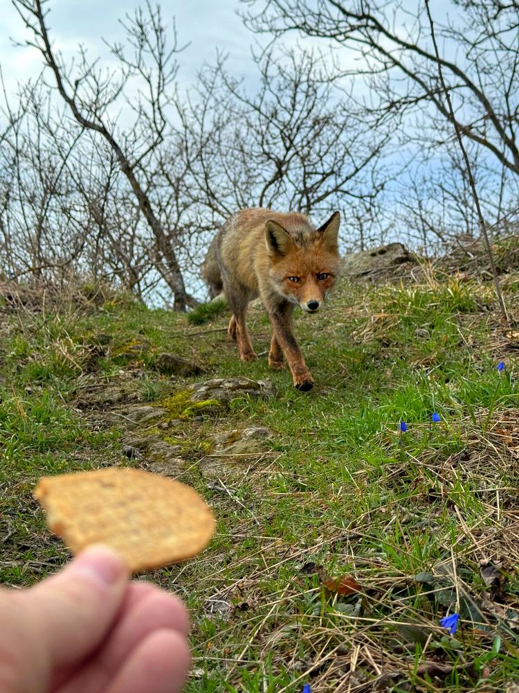 Photograph by Artem Meletov