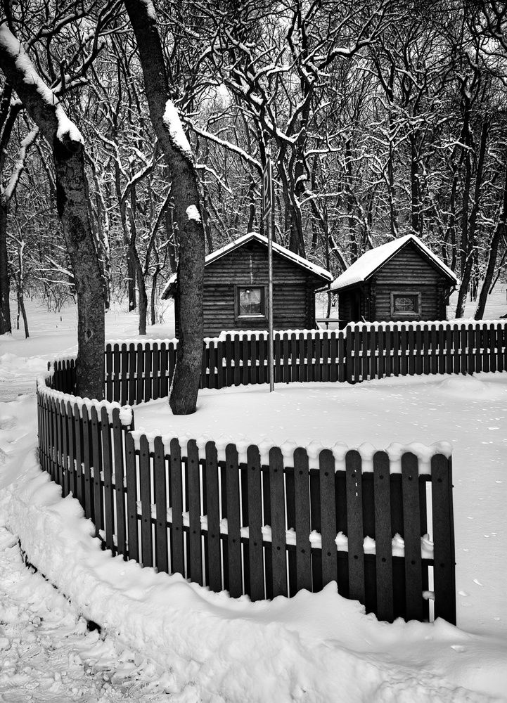 Photograph by Кривенко Владимир