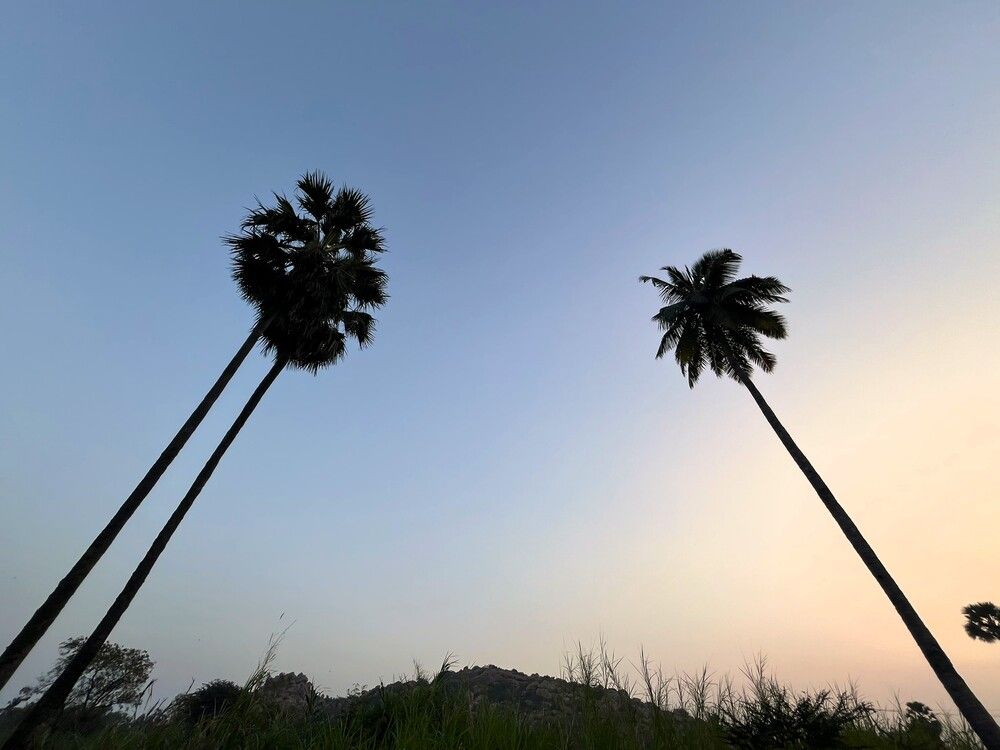 Photograph by Chandra Sekhar B