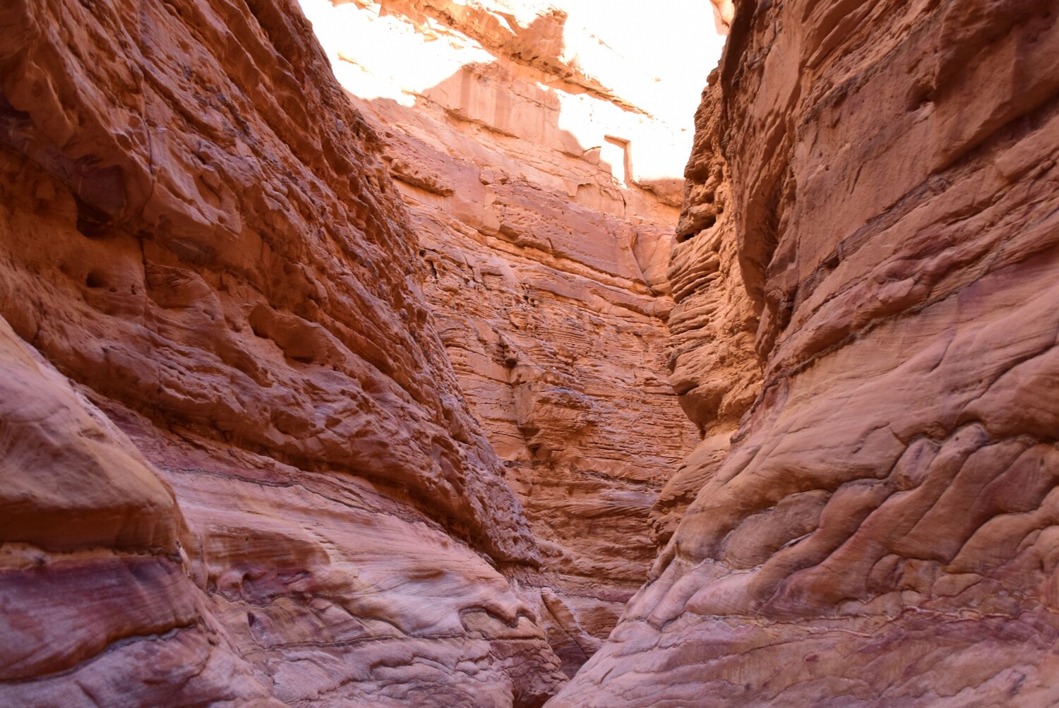 Mesmerizing Red Canyon