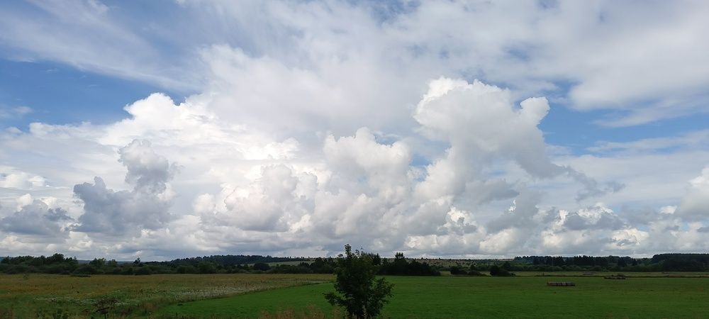 Фотография автора Жанна Афанасьева