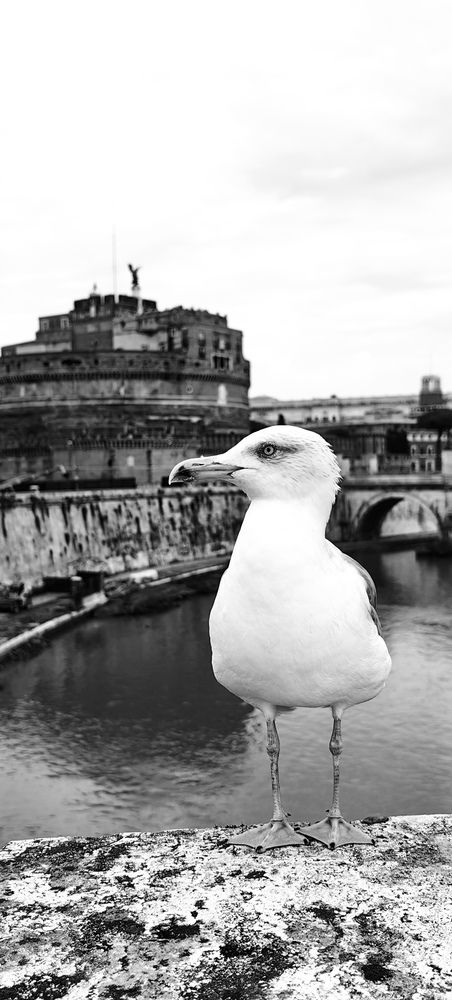 Фотография автора Евгения Харитонова