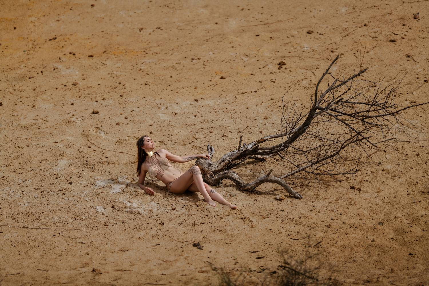 Королева пустыни