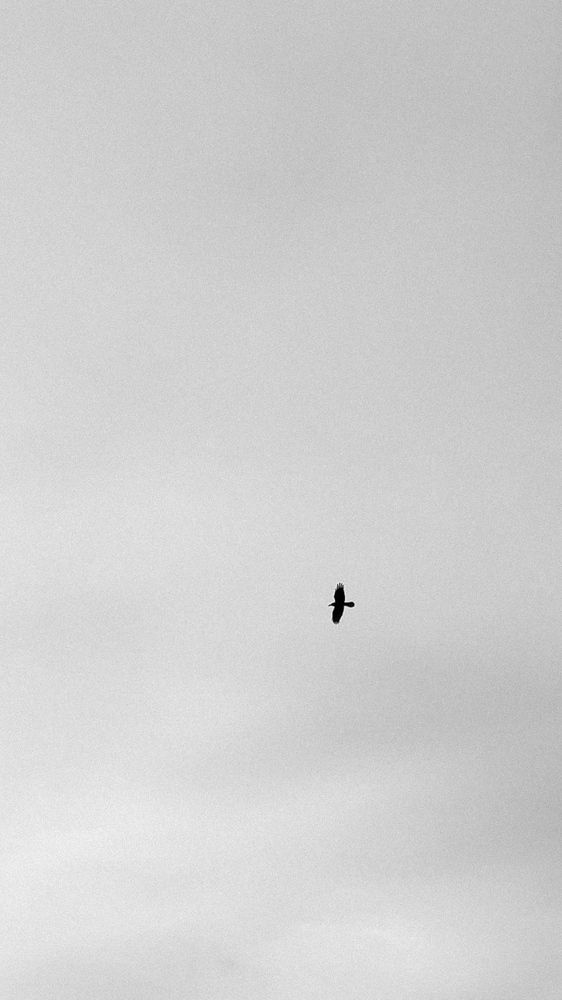 Photograph by Юлия Конопелкина