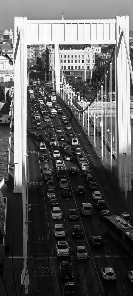 Erzsébet bridge from Gellert Hill, Budapest