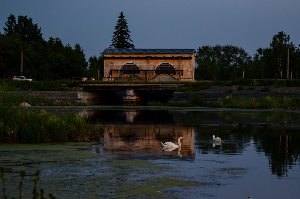 Photograph by Светлана Кудянова