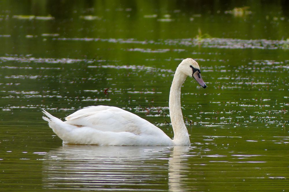 Photograph by Ян Адамсон