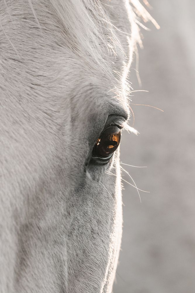 Photograph by Lara Baeriswyl