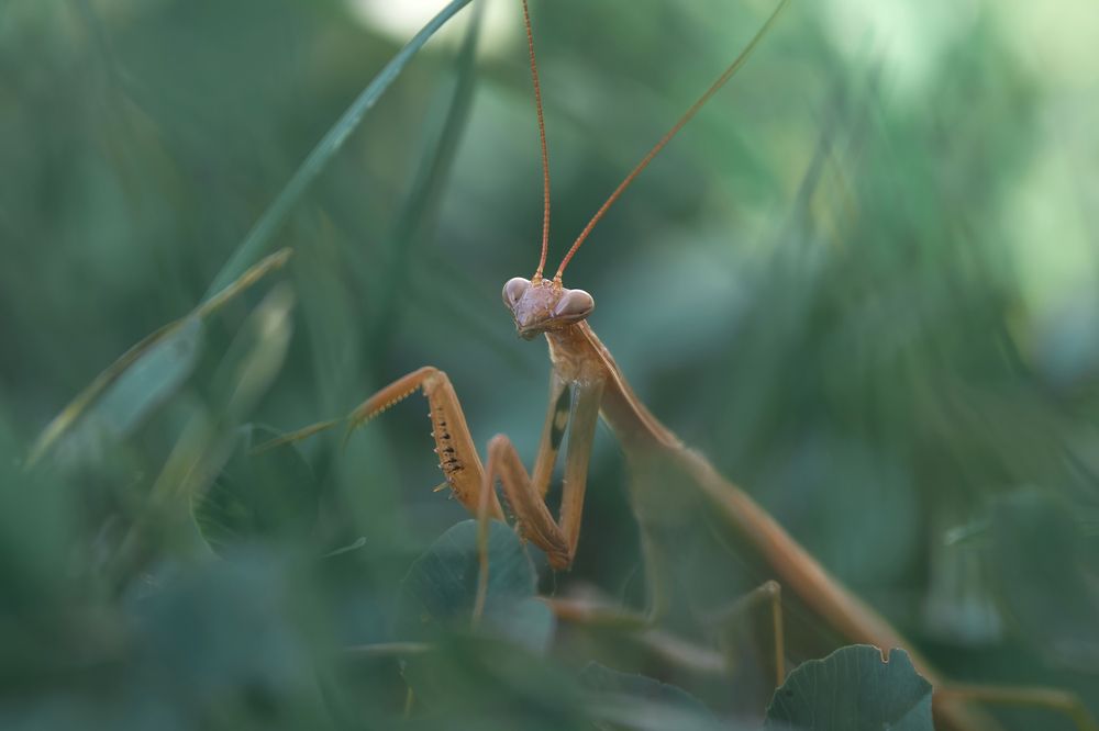 Фотография автора Ketov Vladimir