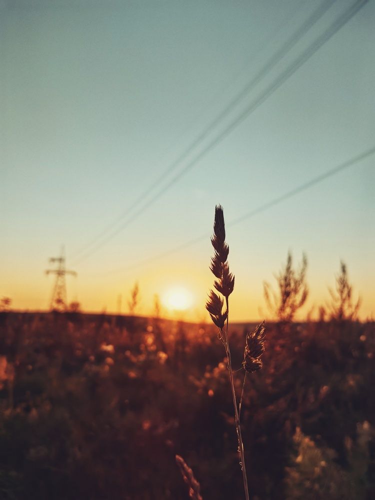 Photograph by Наталья Жуковская