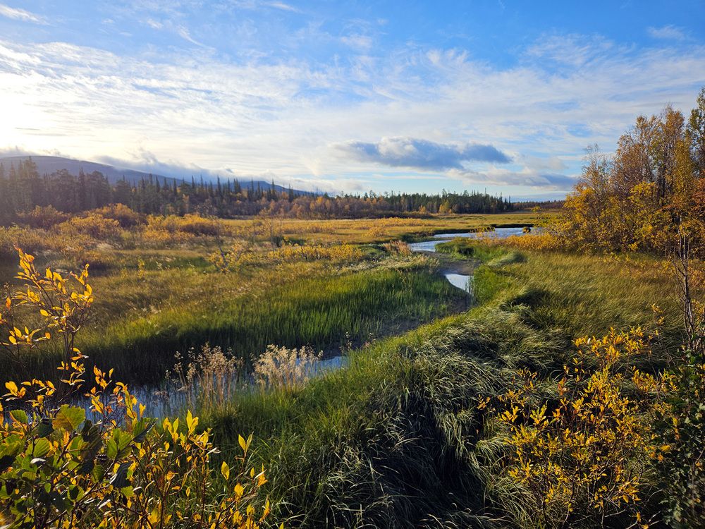 Фотография автора Андрей Русских