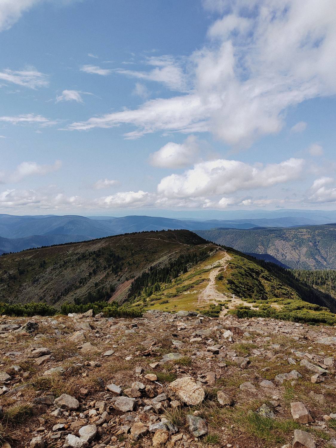 Photo #12037267