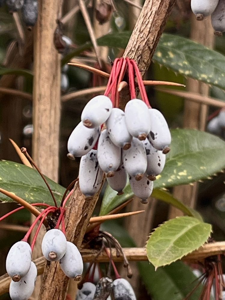 Photograph by Елена Лагойская