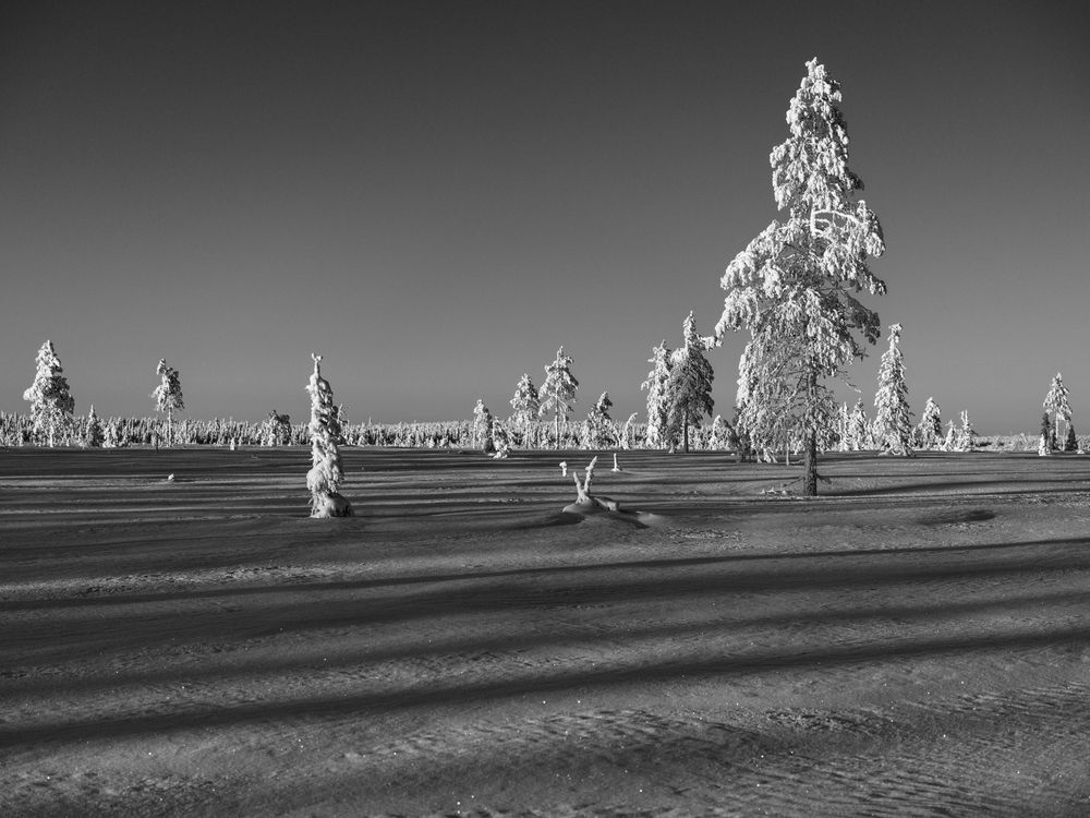 Photograph by Артем Явтушенко