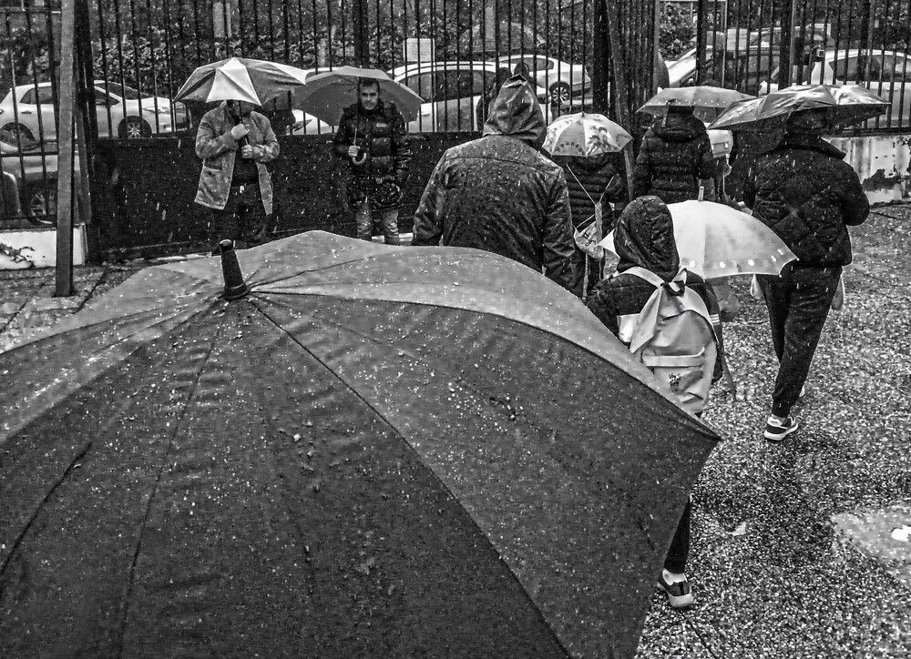 Photograph by  LUIS GERARDO