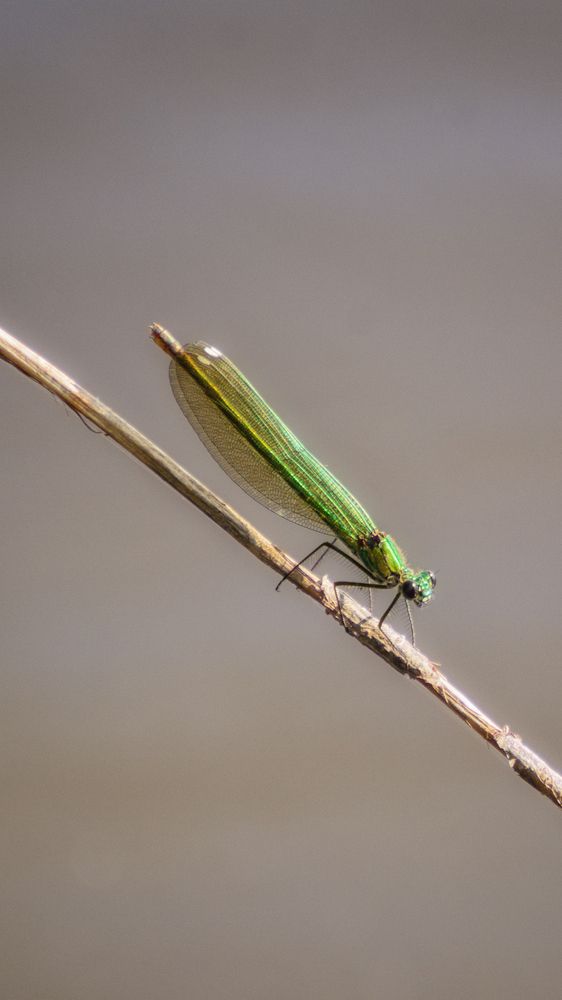 Photograph by Сергей Дишук