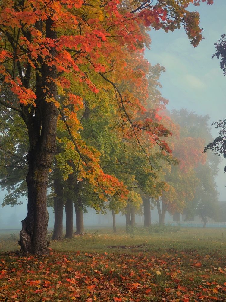 Photograph by Елена Кошелева