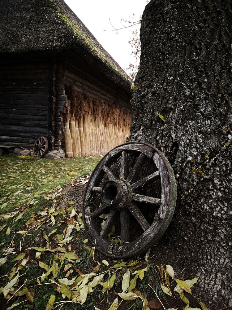 Photograph by Наталья Жуковская