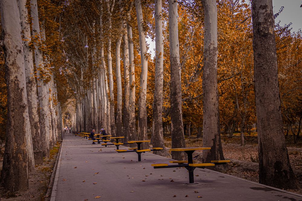 Photograph by Romina Moniri