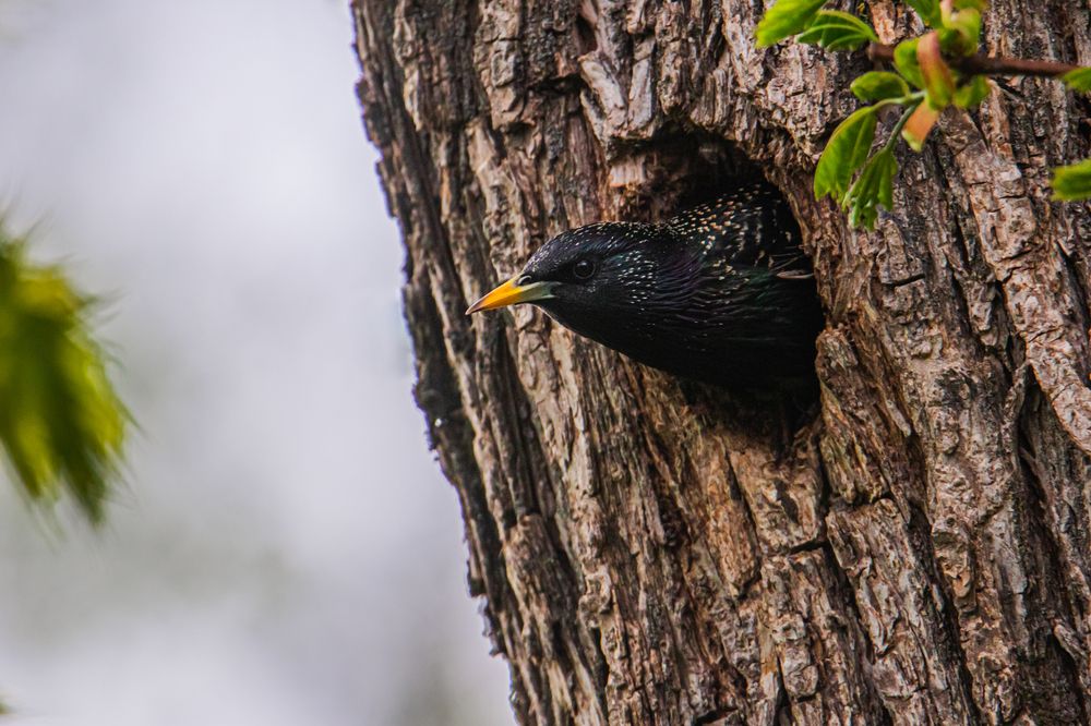 Photograph by Юлия Фомина