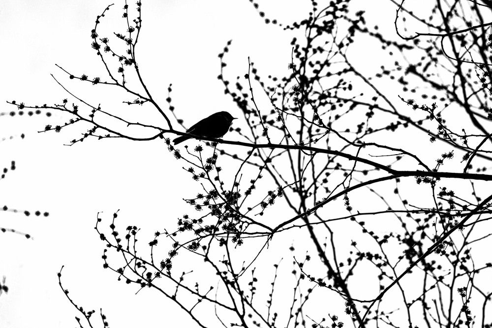 Photograph by  LUIS GERARDO