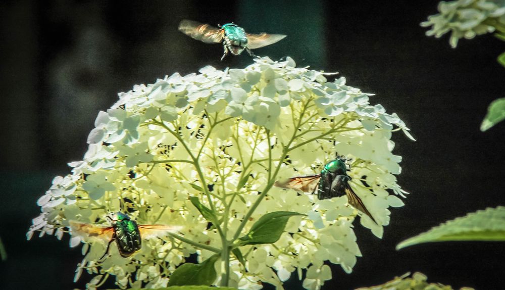 Photograph by Вячеслав Лычков