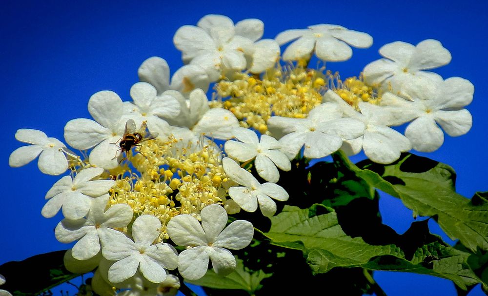 Photograph by Вячеслав Лычков