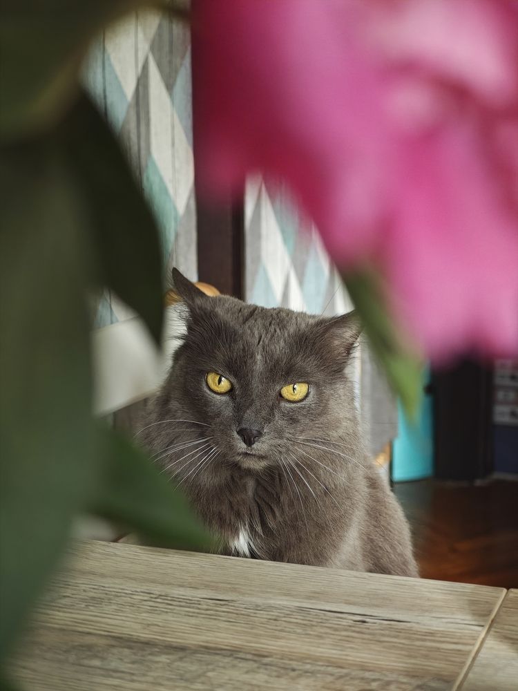 Photograph by Мария Степанникова