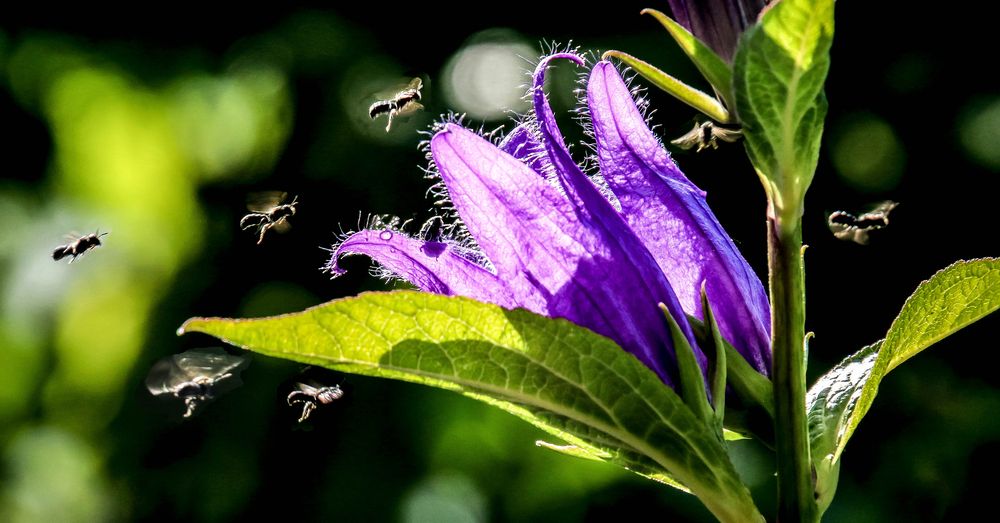 Photograph by Вячеслав Лычков