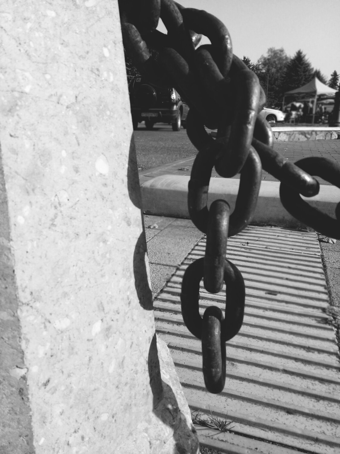 Photo #12037459