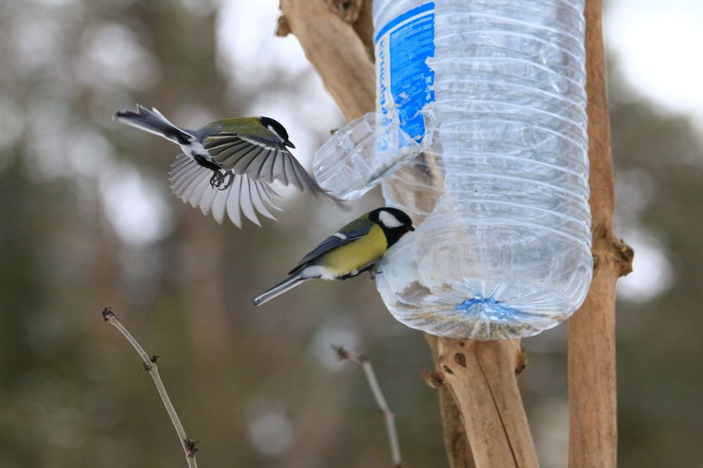 Фотография автора Сергей Кульков