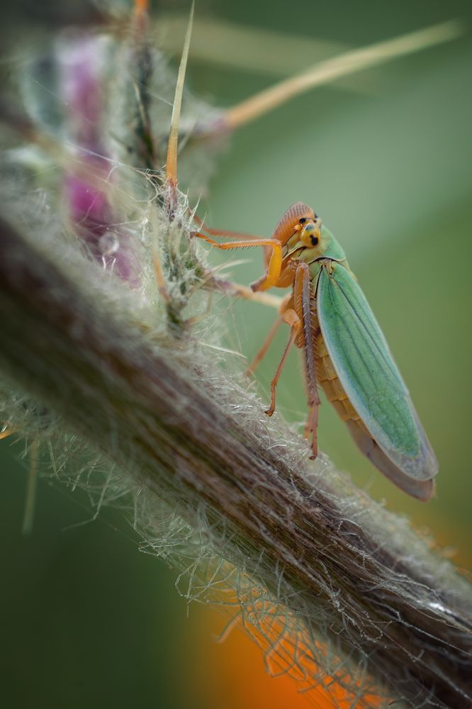 Photograph by Николай Брытков