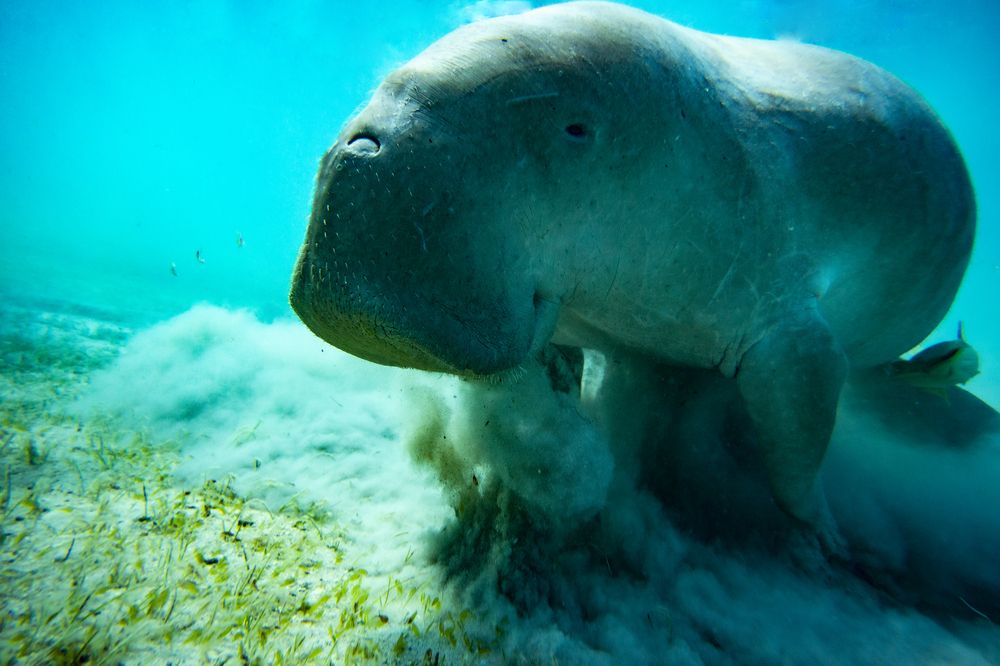 Photograph by Александр