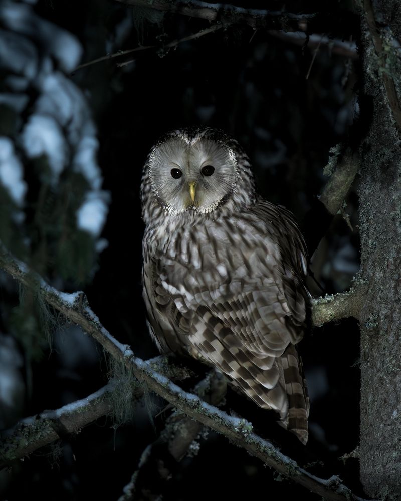 Фотография автора Михаил Ездаков
