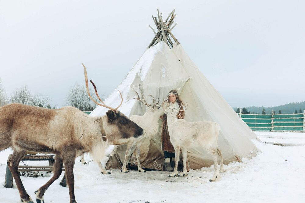 Хранительница, январь 2025 г.