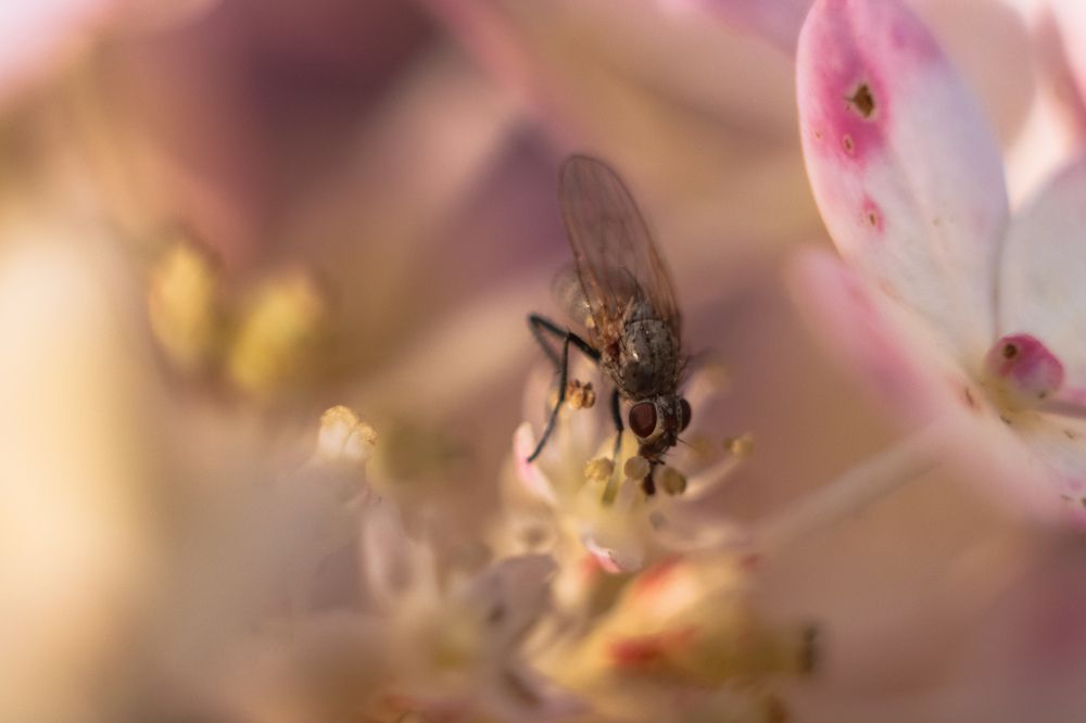 Photograph by Ангелина Высочина