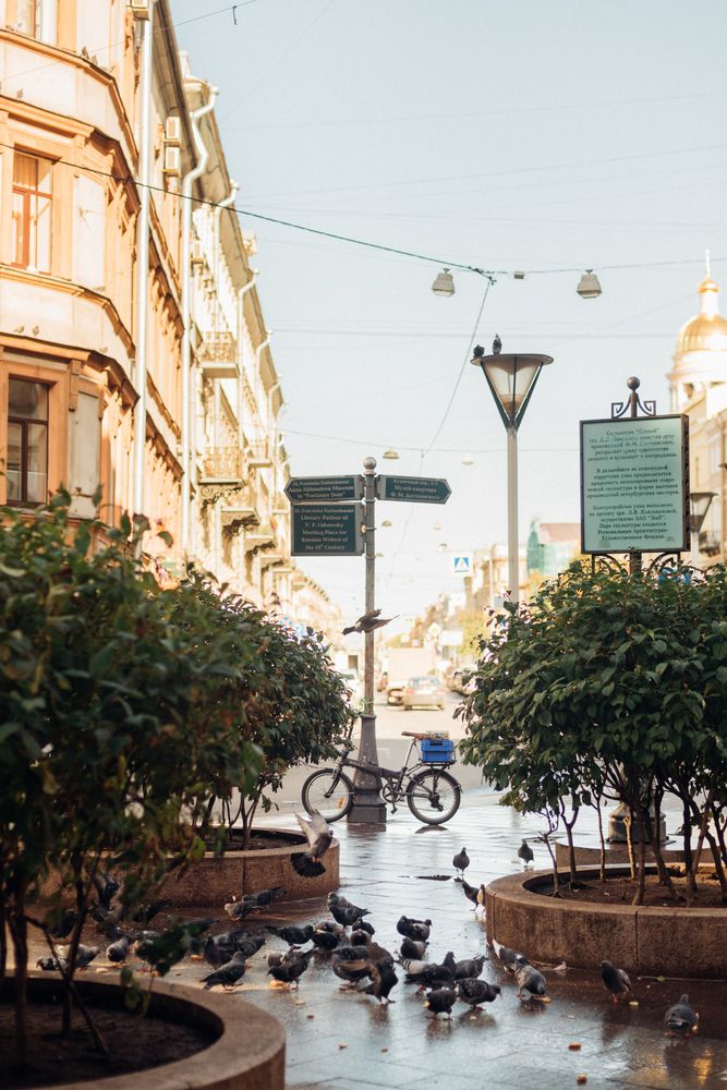 Питерская открытка