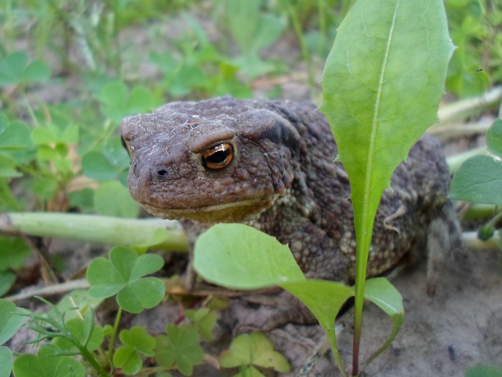 Photograph by Михаил Сербаев