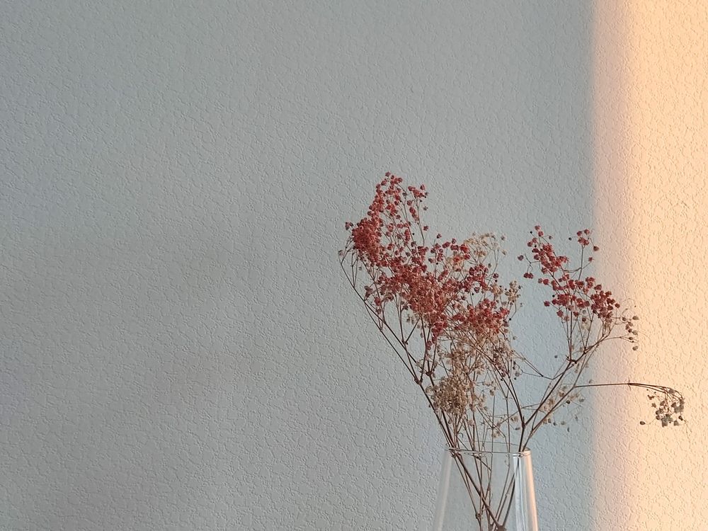 Photo #12037595