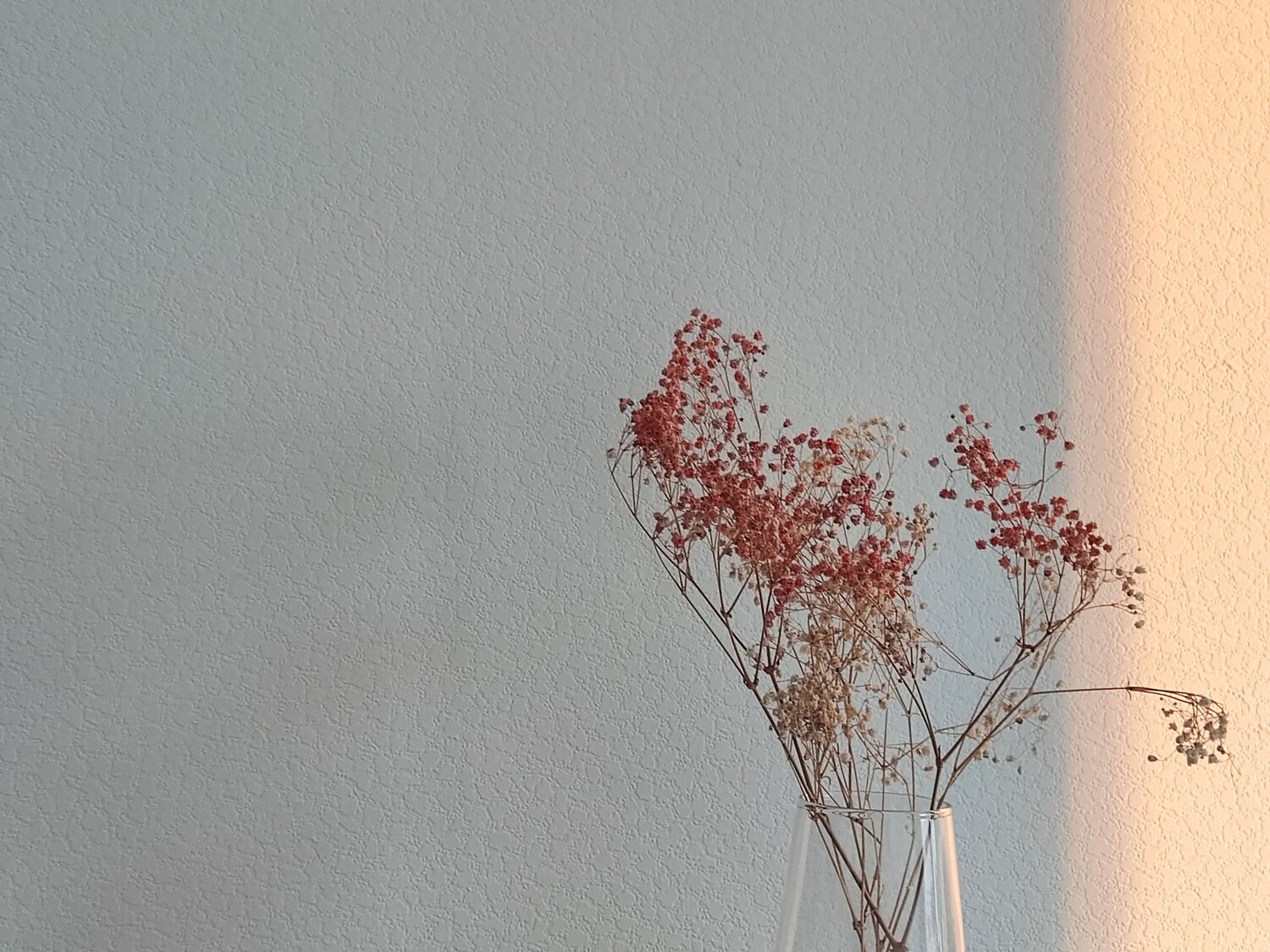 Photo #12037595