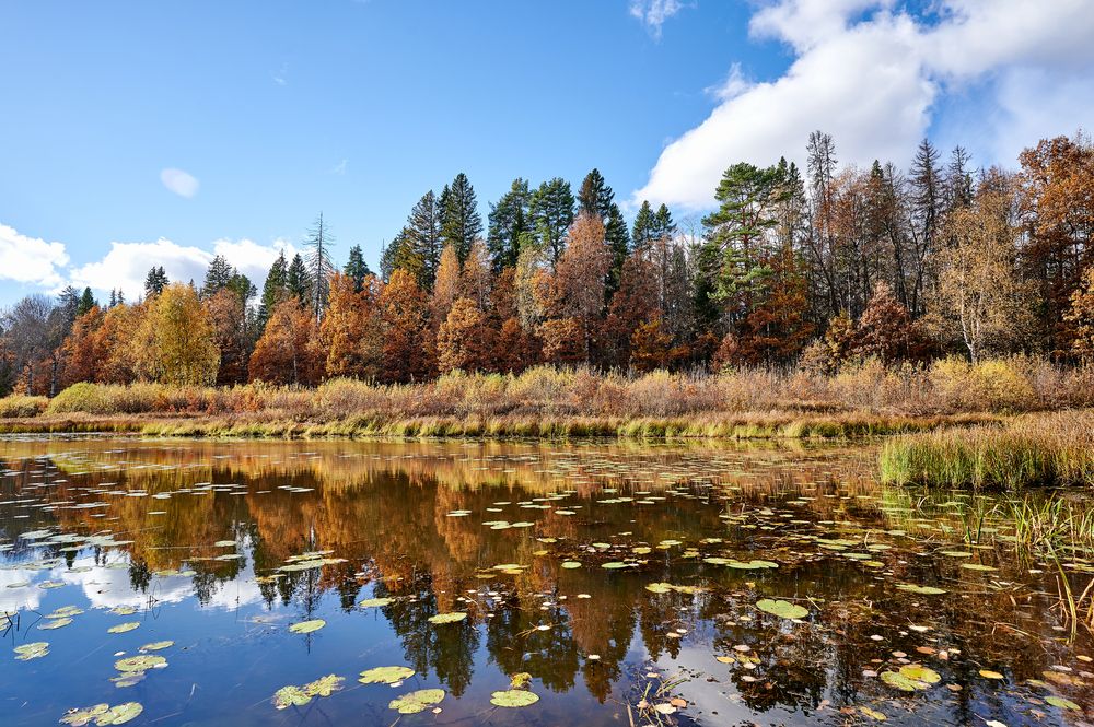 Photograph by Роман Зыков