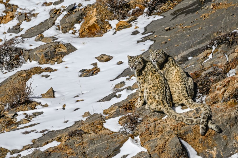 Photograph by DEEPA GIRISH