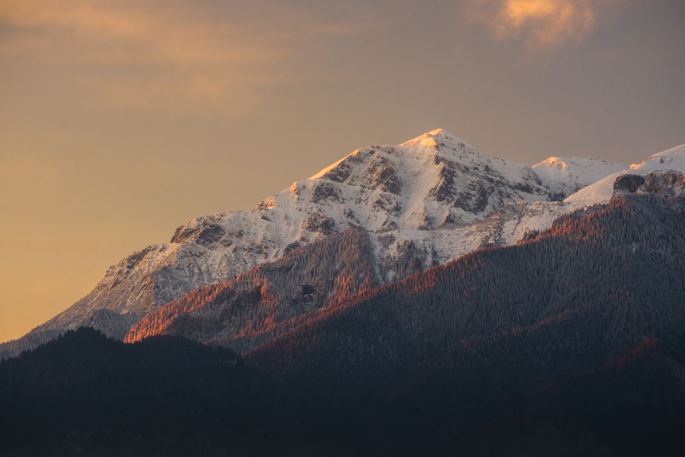 Фотография автора Bogdan Barbulescu
